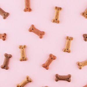 Durable Chew Toys