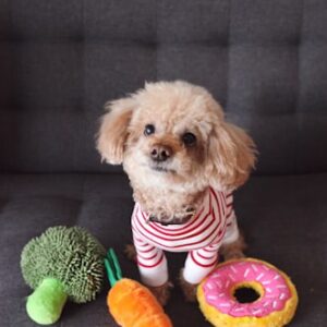 Pet Training Clicker