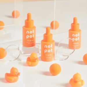 Interactive Puzzle Pet Toy
