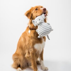 Comfortable Pet Carrier