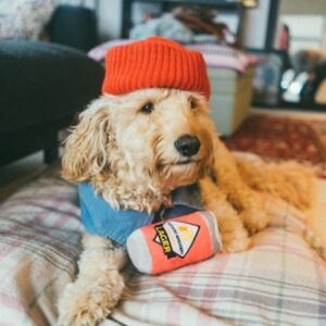 Pet First Aid Kit